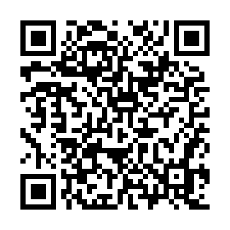 QR code for 381XGO