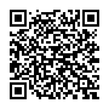 QR code for 381ZGD