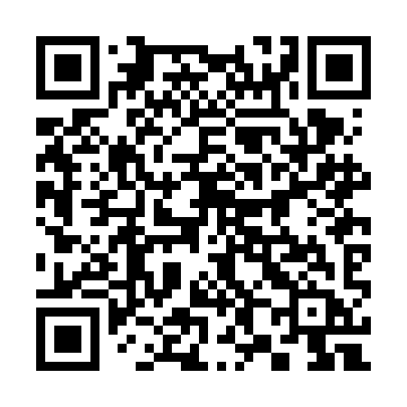 QR code for 382FIB