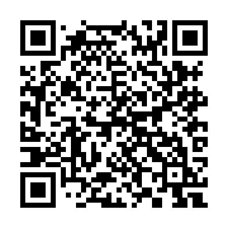 QR code for 382HKK