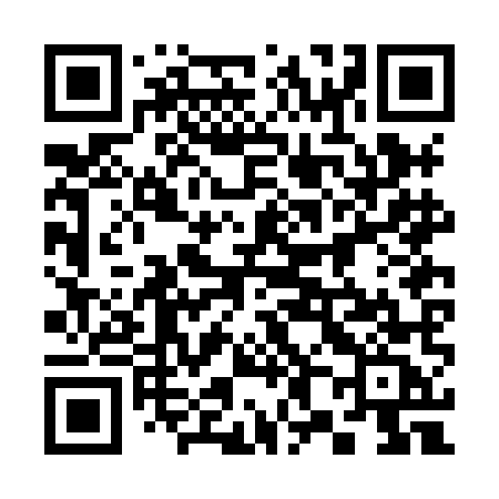 QR code for 382HMC