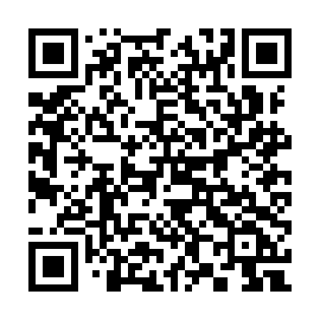 QR code for 382IDF