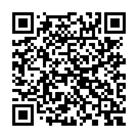 QR code for 382NIC