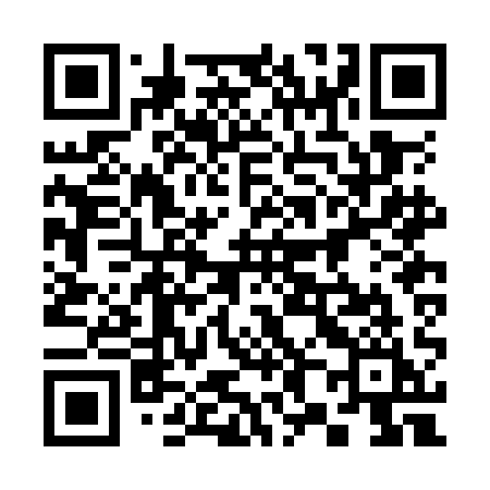 QR code for 382OAI
