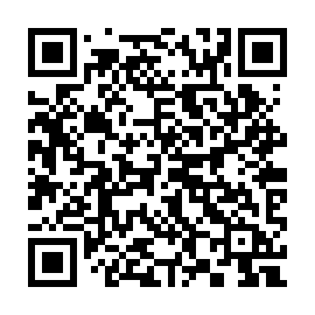 QR code for 382RYB