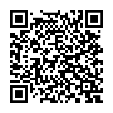 QR code for 383DXS