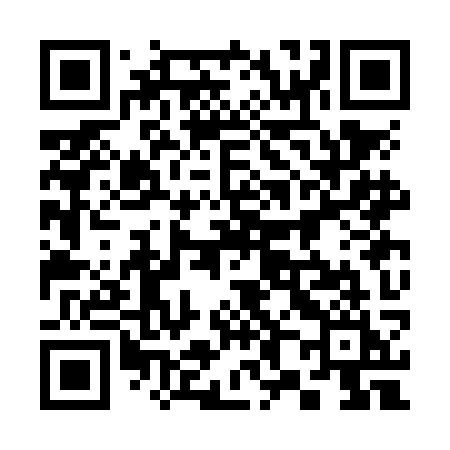 QR code for 383NKI