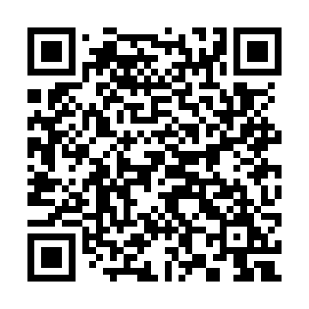 QR code for 383OZM