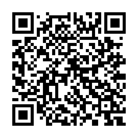 QR code for 383PDN