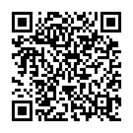 QR code for 383SDH