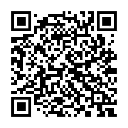 QR code for 383SFA
