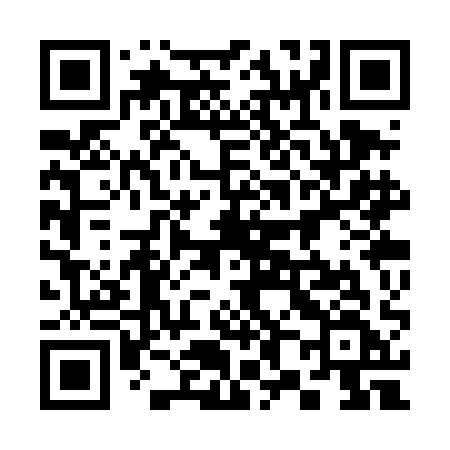 QR code for 383TAF