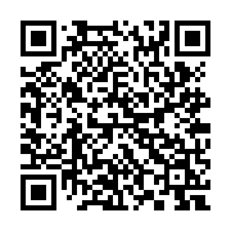 QR code for 383ZMN
