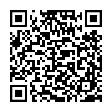 QR code for 384DFL