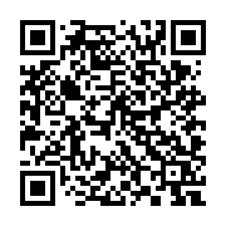 QR code for 384FHS
