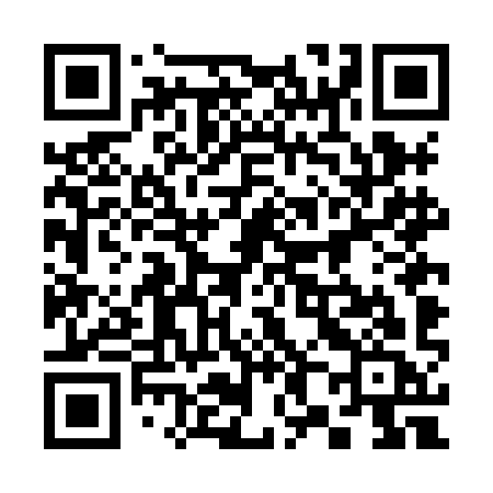 QR code for 384HIC