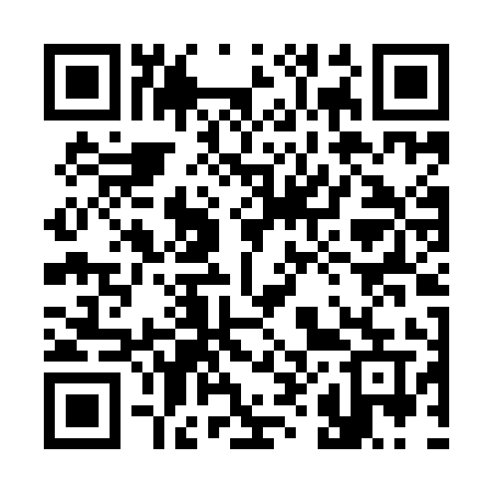 QR code for 384IIU