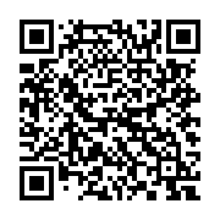 QR code for 384MSJ