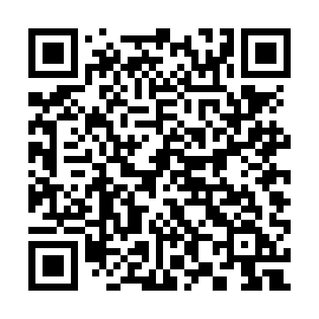 QR code for 384NAF