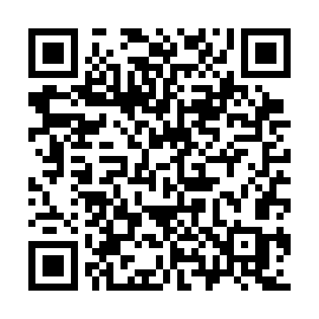 QR code for 384SGC