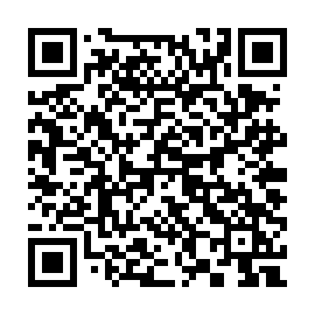 QR code for 384TDK