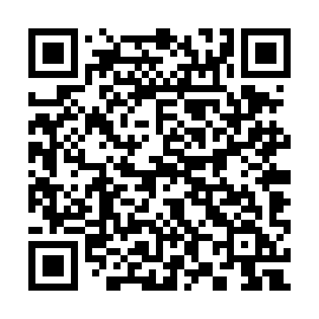 QR code for 384TIF
