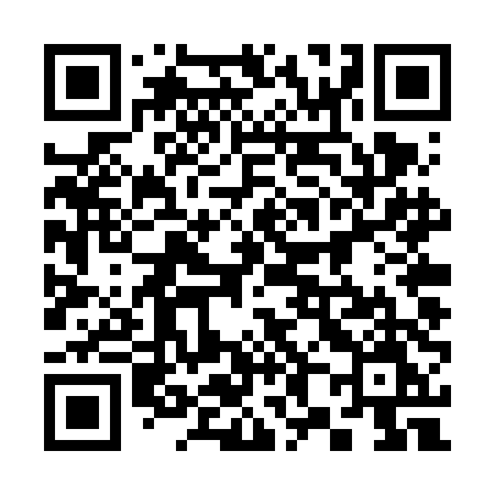 QR code for 384VDM