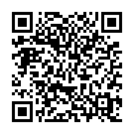 QR code for 384VFM