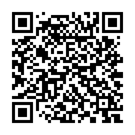 QR code for 384VPX
