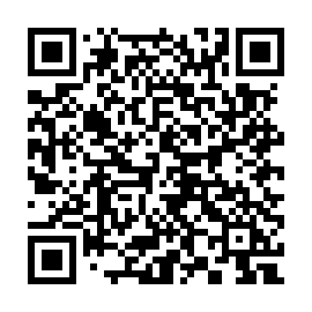 QR code for 385MTI