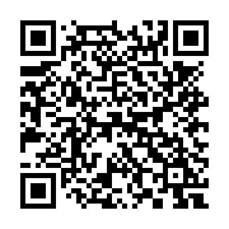 QR code for 385NPM