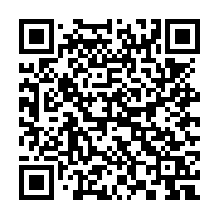 QR code for 385NWS