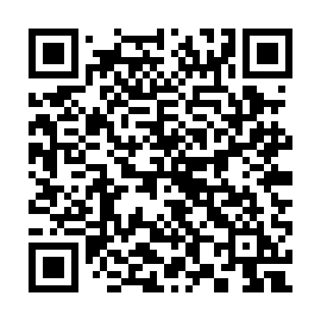 QR code for 385PAI