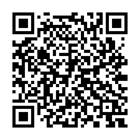 QR code for 385SPR