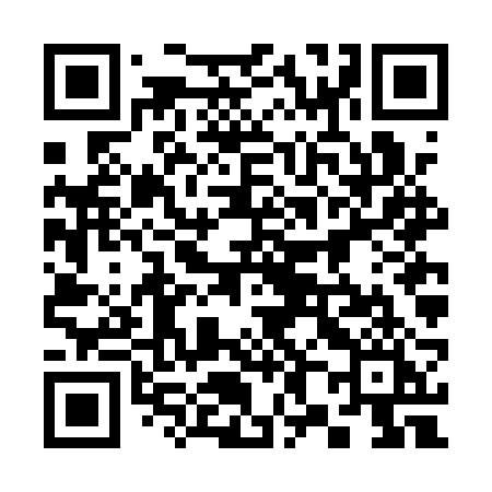 QR code for 386ARI