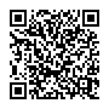 QR code for 386IIW