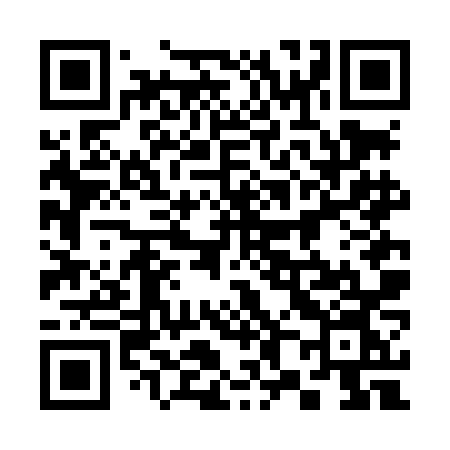 QR code for 386LNN