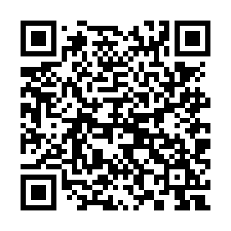 QR code for 386NHM