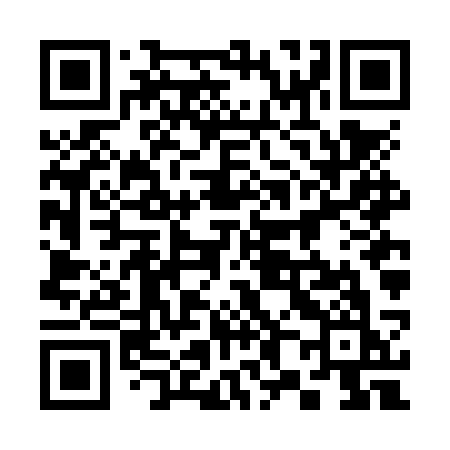QR code for 386NSK