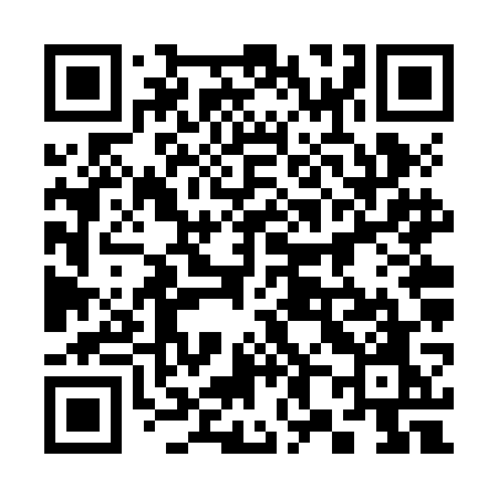 QR code for 386ZGO
