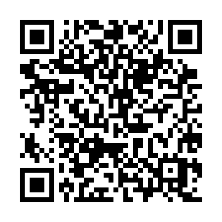 QR code for 387CHW