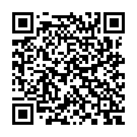 QR code for 387IDI