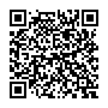 QR code for 387IRI