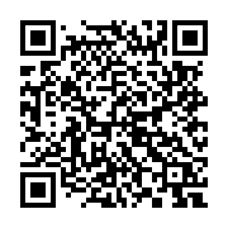 QR code for 387MRR
