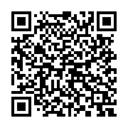 QR code for 387MTP