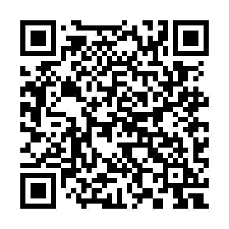 QR code for 387OII