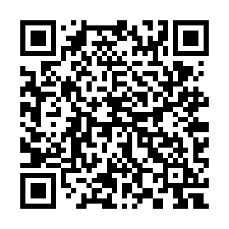 QR code for 387VII