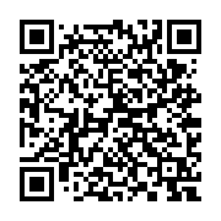 QR code for 387VIP