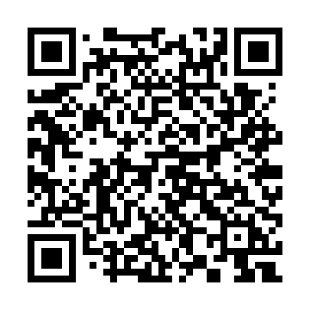 QR code for 387WPH