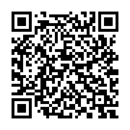 QR code for 387YYL